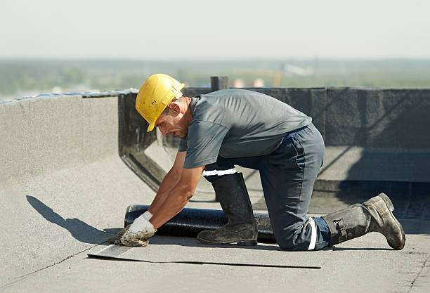 Best Residential Insulation in Lighthouse Point, FL