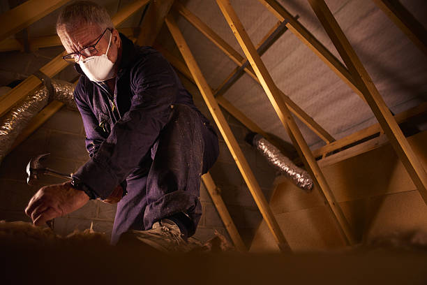 Best Insulation for Specific Applications in Lighthouse Point, FL